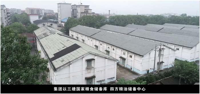 BG大游集团(中国)唯一官方网站